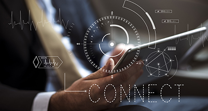 Red Nacional Virtual - vRNIE